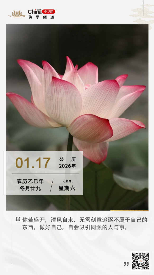自持本心，自有同频