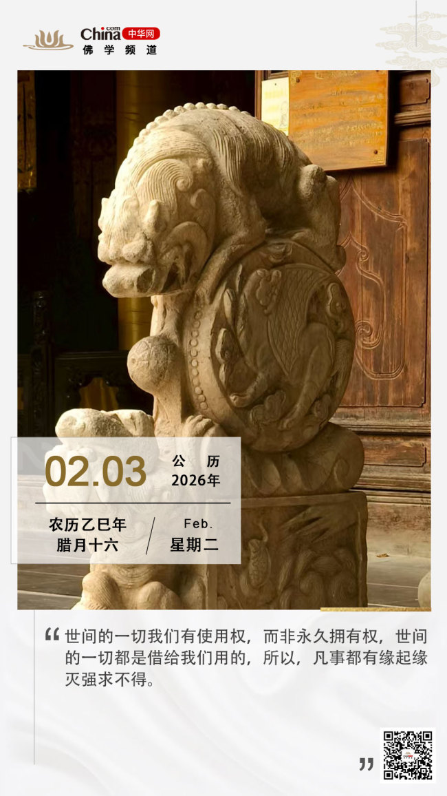 向内观照