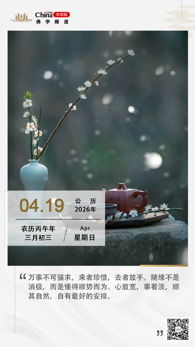 随缘自适