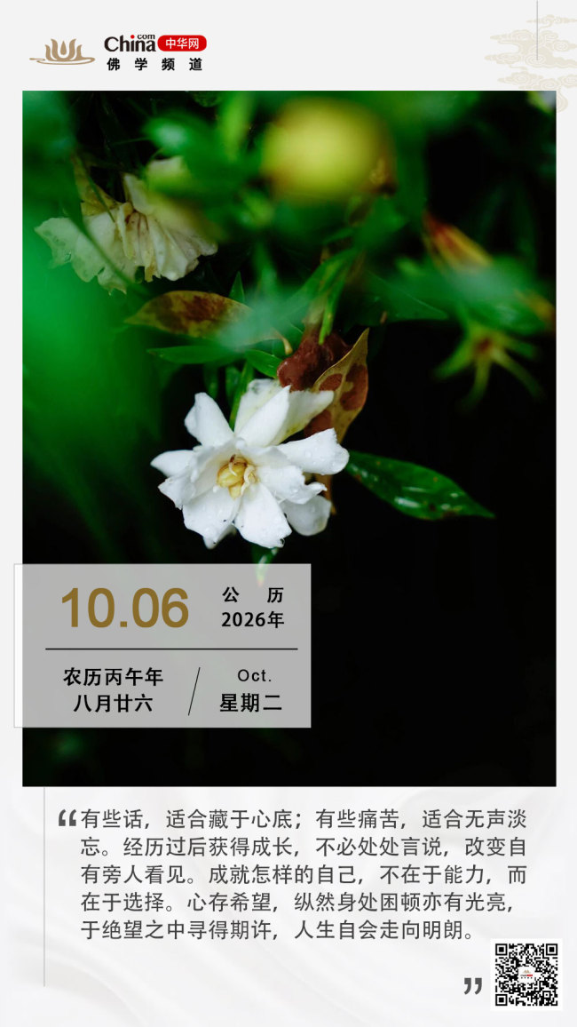 在绝望中寻找希望