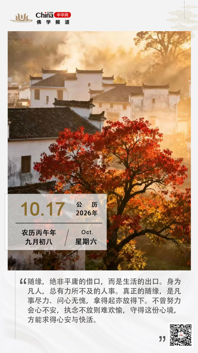 随缘贵在尽力