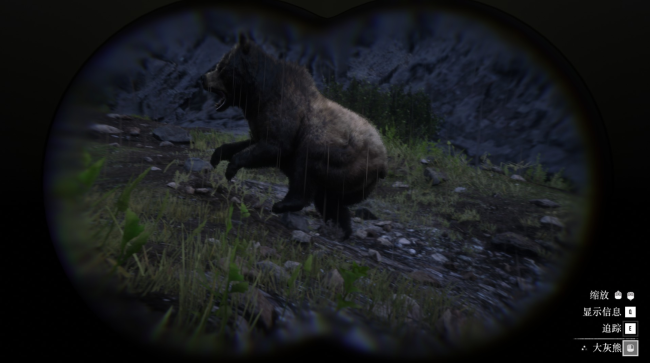 《荒野大镖客2》动物大灰熊在哪里找