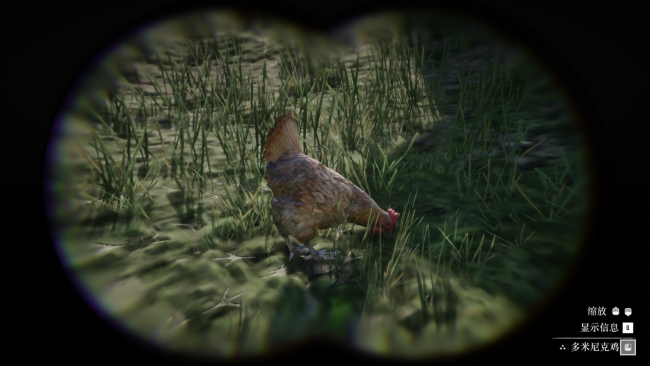 《荒野大镖客2》动物多米尼克鸡在哪里找