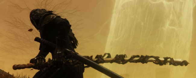 《艾尔登法环:黑夜君临》执行者角色完全解析分享