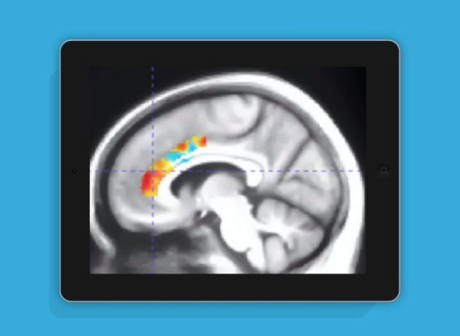 国外新研究！游玩10周大脑训练类游戏可抵消10年脑退化！