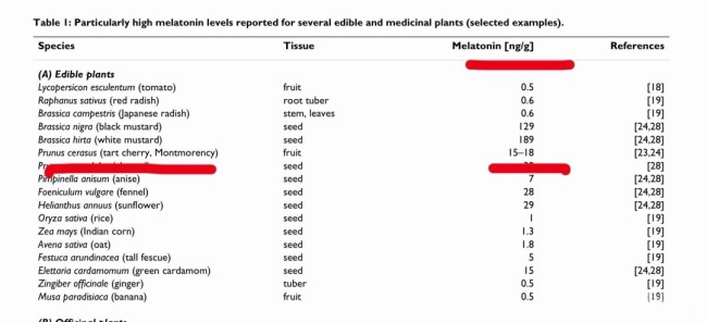 車厘子含褪黑素 吃了可以助眠？專家：沒睡著先撐死