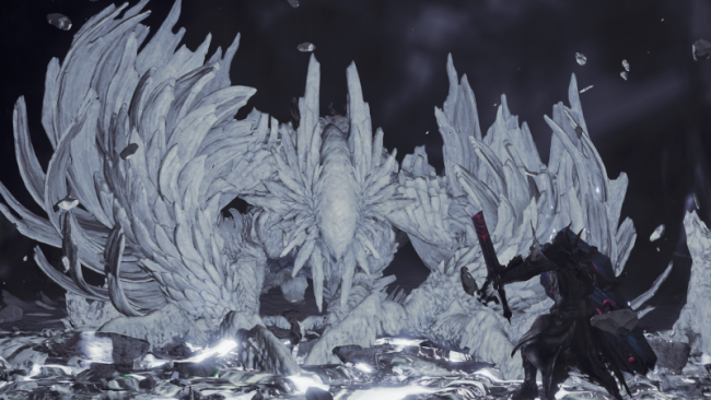 《怪物猎人:荒野》一周年纪念!特别任务和活动公布