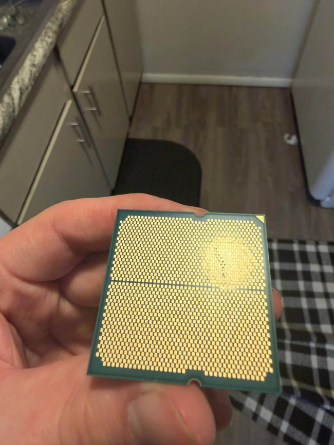 就离谱！网友爆他家的狗咬坏了一颗锐龙7 7700X CPU