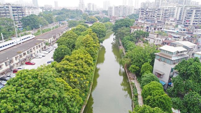 广州荔湾区水环境治理新探索：构建完善“河长牵头、全民参与”治水体系