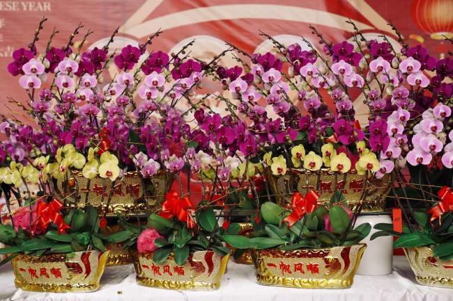 传统春节习俗新呈现，广州多地上线“云上花市”微信小程序