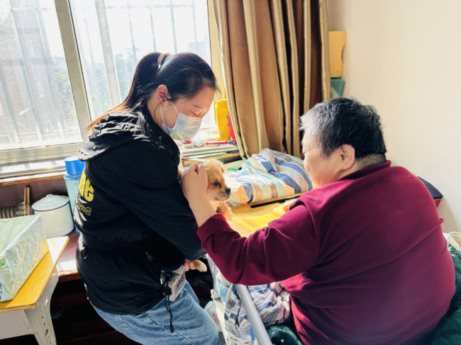 从街头流浪到心灵治愈：疗愈犬公益项目点亮流浪犬的“第二人生”