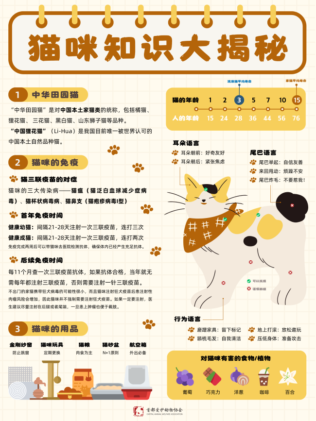 猫咪狗狗知识