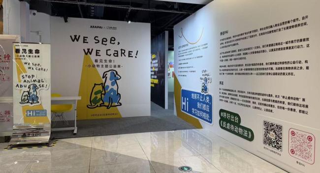 看见生命！这场公益展为无法说话的生命发声