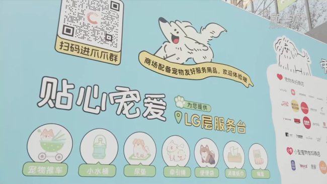 千亿“新赛道”的崛起密码|逛出幸福感:与“毛孩子”同行的城市地标