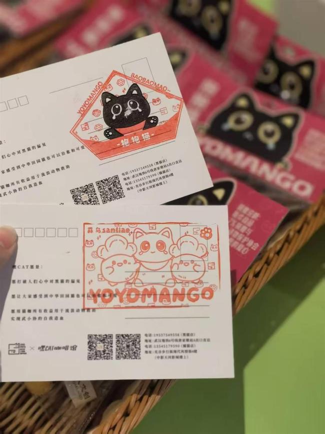 蒜鸟+动物保护，“带我回家”快闪店亮相江城