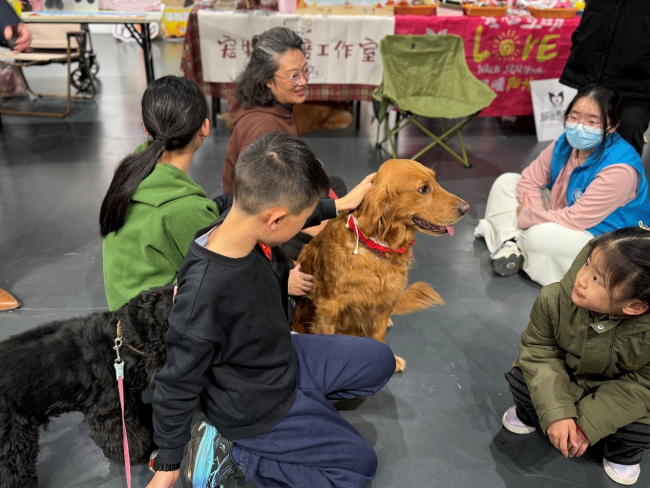 “暖冬新生”公益领养活动在京举行：以爱为桥，共筑人宠和谐社区