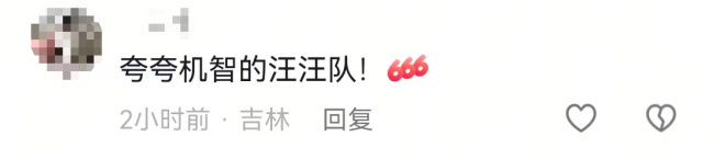 感动全网的“汪汪队”!同村7只狗被偷,结伴逃亡17公里回家,其中一只疑似受伤被其他小狗护在中间,救助基地:它们是邻居,一直一起玩耍