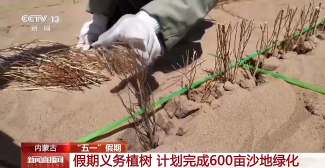 计划完成600亩！“五一”假期他们来浑善达克沙地义务植树 图4