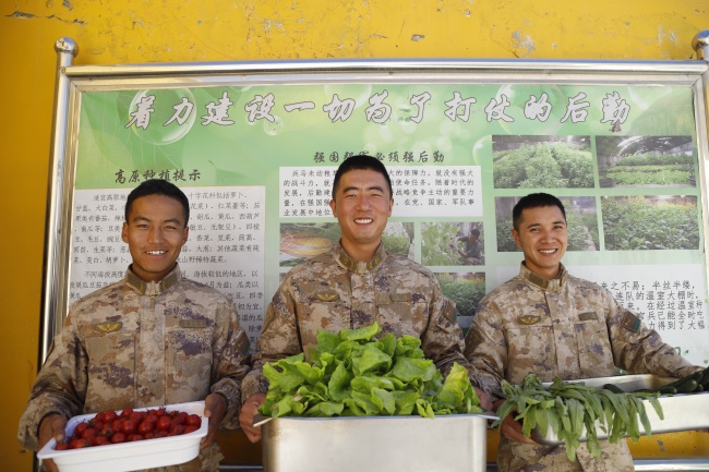 秋天，来和高原兵哥丰收大棚啦！