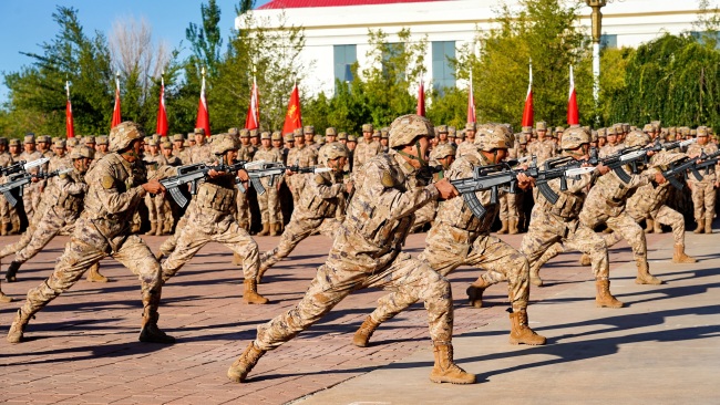 烎烎烎丨直击秋日练兵场