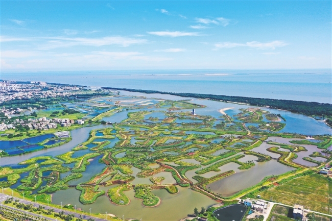 海口江东新区迈雅河湿地。
