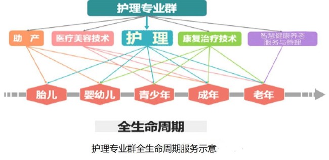 湖北职业技术学院护理专业高质量发展纪实