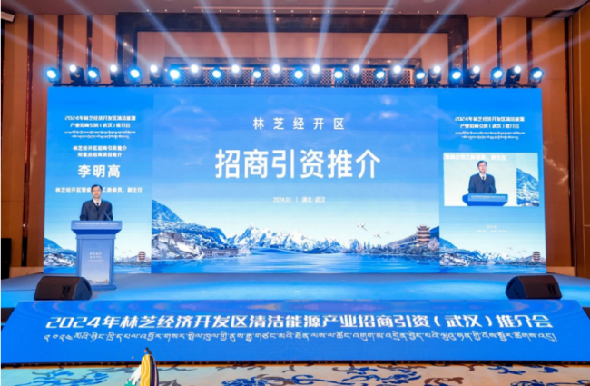 2024年林芝经济开发区清洁能源产业招商引资（武汉）推介会成功举办