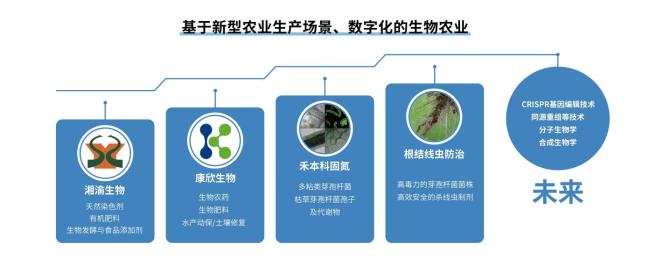 聚焦现代农业技术与服务生态成果转化 富邦股份2024年上半年实现质效双增