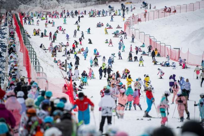 2023年12月，游客在神农架国际滑雪场滑雪。新华社记者 伍志尊 摄