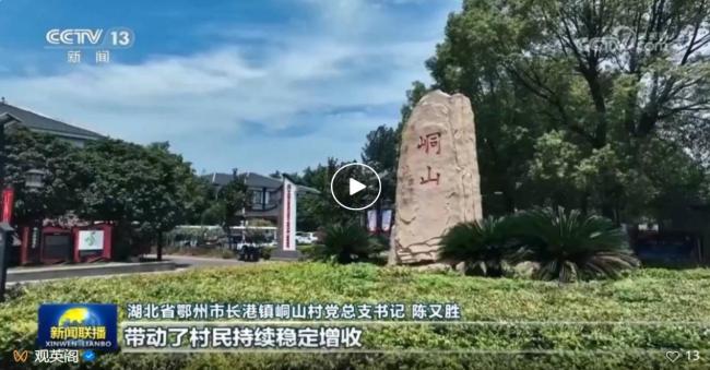 平安产险鄂州峒山村党建共建点揭牌 专项资金支持农文旅升级