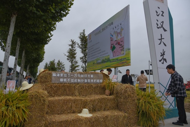 全国50多家主流媒体齐聚湖北监利 沉浸式感受“一粒好米”的千年文化魅力