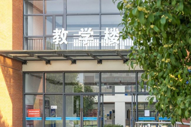 秋日彩蛋！外经贸学院校园桂花二次绽放引师生追捧
