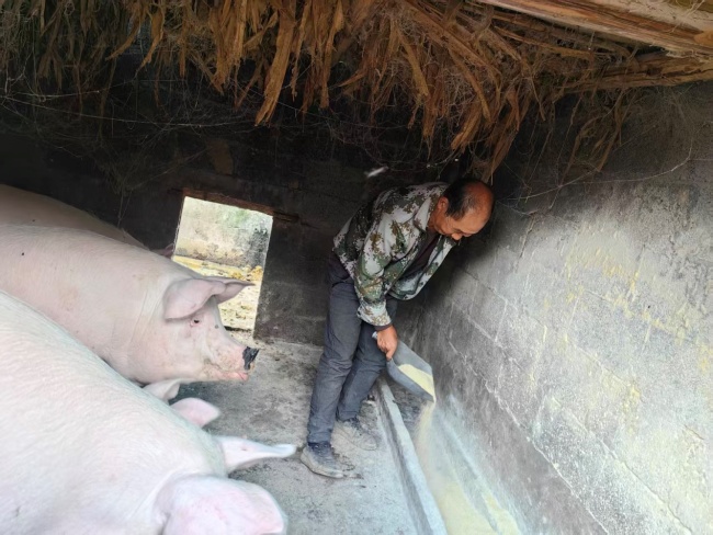 从贫困户到致富带头人:王良友的“甜蜜”事业