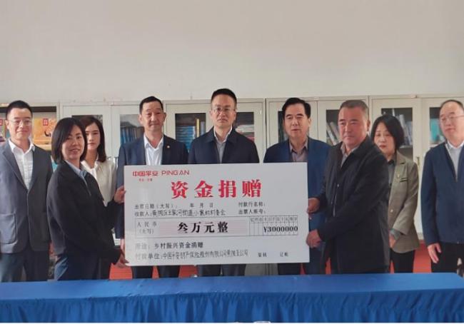 平安产险湖北分公司捐赠党建共建支持资金