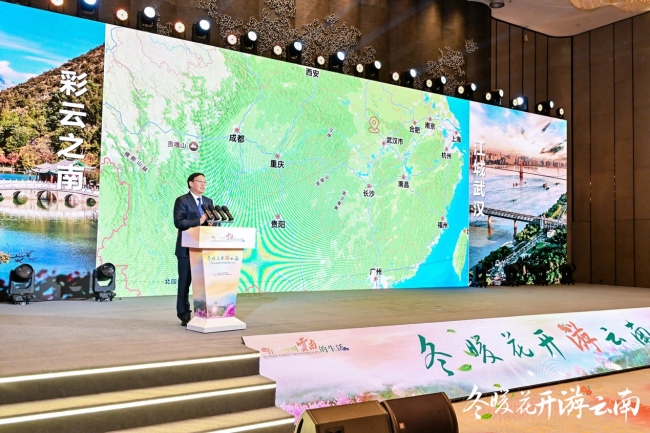 “冬暖花开游云南”2025冬季文旅推广活动走进武汉  共绘跨区域合作新图景