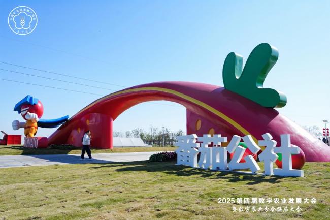 番茄公社冬至嘉年华圆满举行—— 科技温暖乡土,富邦科技以创新之力践行公益初心