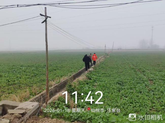 平安产险仙桃中支：闻“雪”而动 多线齐发  构筑农险、团财、车险立体防灾网