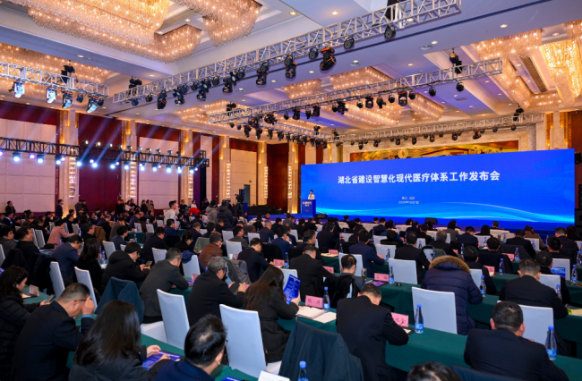 2026年湖北方便群众就医十项举措公布