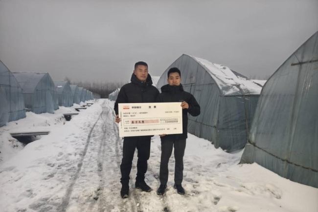 潜江平安跑出农险服务“加速度”,“防、减、救、赔”解农忧