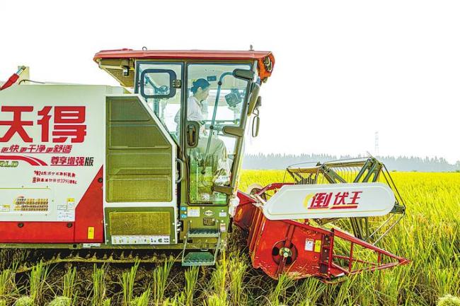 地多人少怎么办？合作社怎么盈利？农民怎么富起来？  监利女粮王耕耘田野打开三大问号