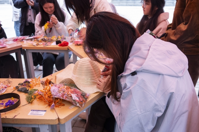 以教育之名致敬最美“她力量”