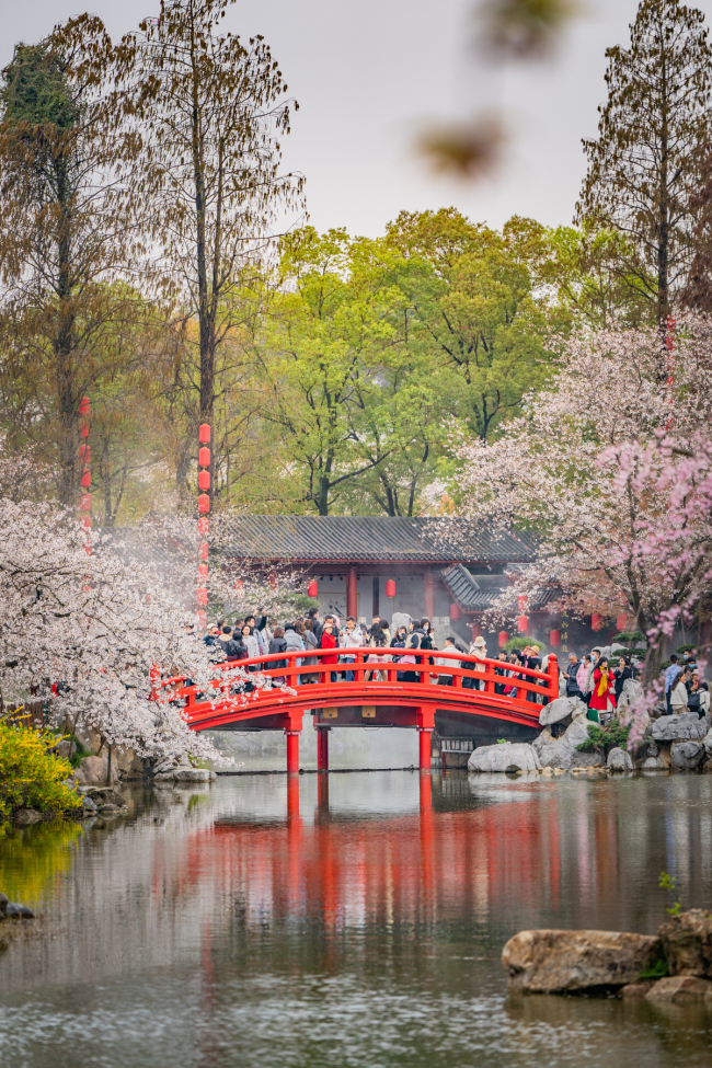 湖北旅游产品搜索增长超180% 武汉稳居全国十大热门旅游目的地
