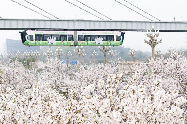 打开“漫游武汉”出行新体验，总有一款适合你！