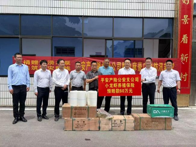 平安产险荆州中支全力迎战极端暴雨 以金融担当守护民生与三农一线