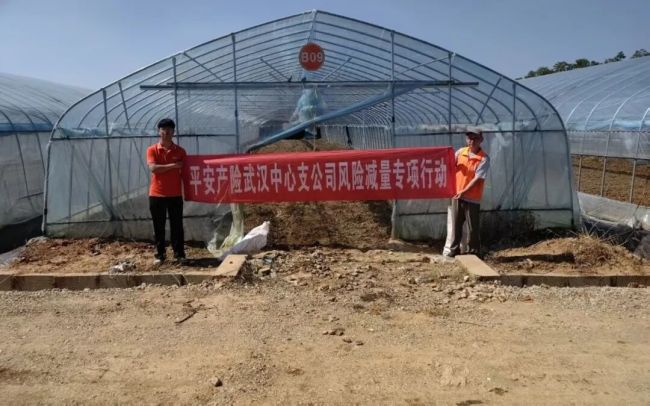 平安产险武汉中支全域布防，迎战台风“巴威”护航江城农业安全