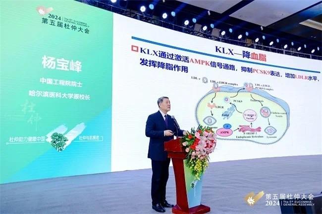 聚焦杜仲抗衰老与健康中国建设，第五届杜仲大会在京召开