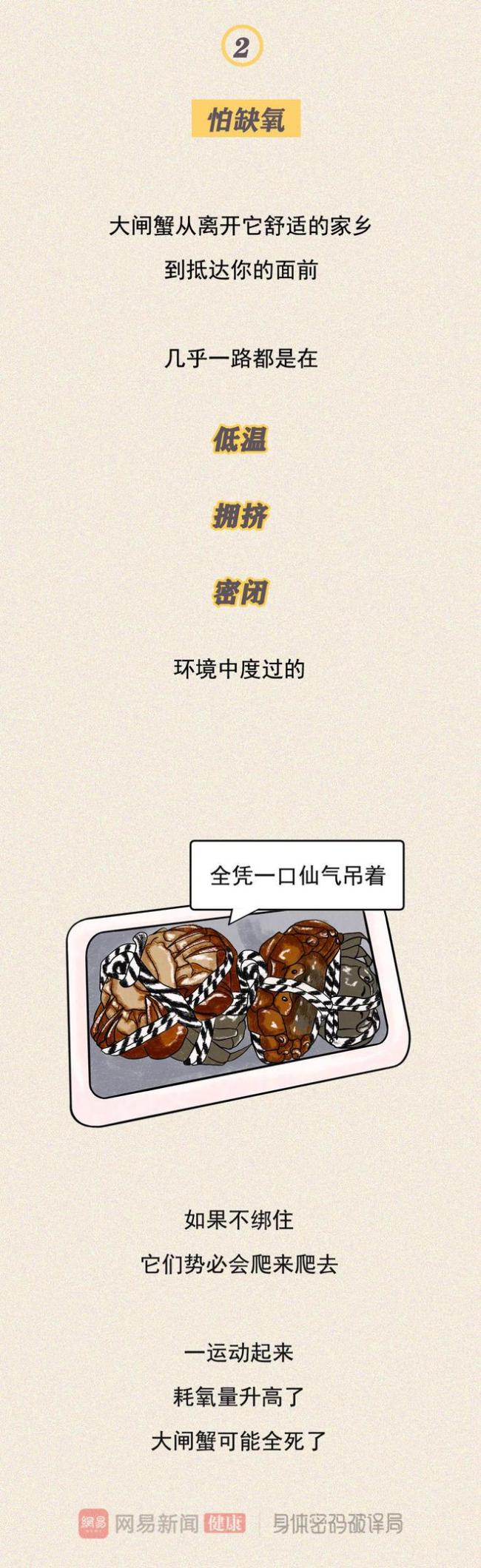 螃蟹2两，绳重半两？揭秘大闸蟹为何要绑粗绳！