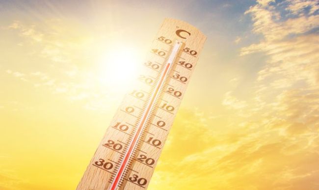 别让呼吸道 “中暑”!六月高温高湿季,这组“清凉防护指南”必存