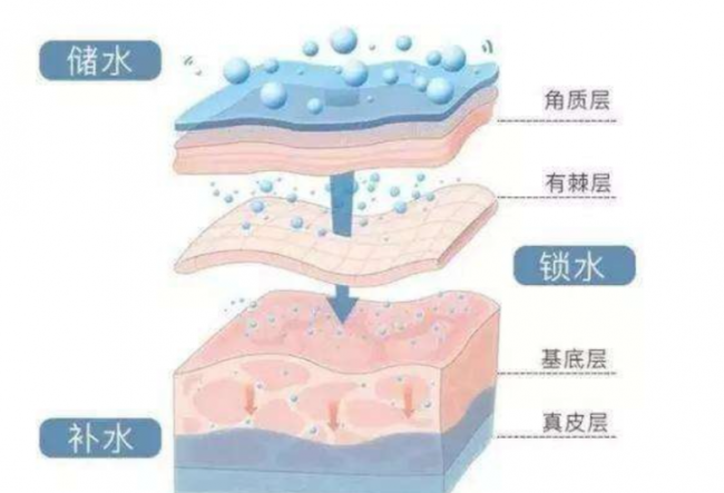 市场高速增长背后，分子玻尿酸成为护肤新共识