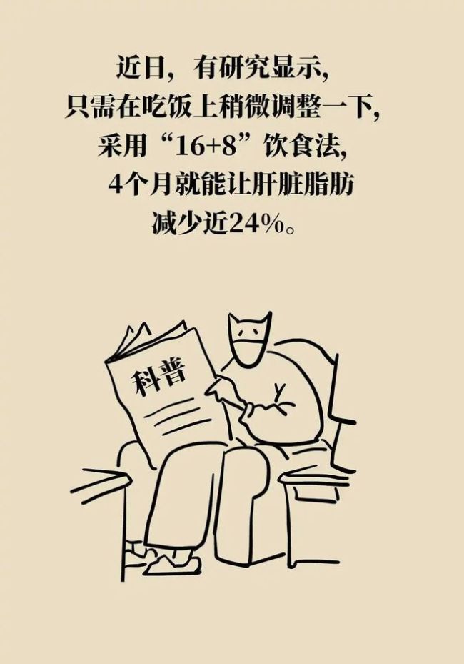 研究证实：吃饭用“16+8”，脂肪肝能减脂24%！